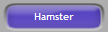 Hamster